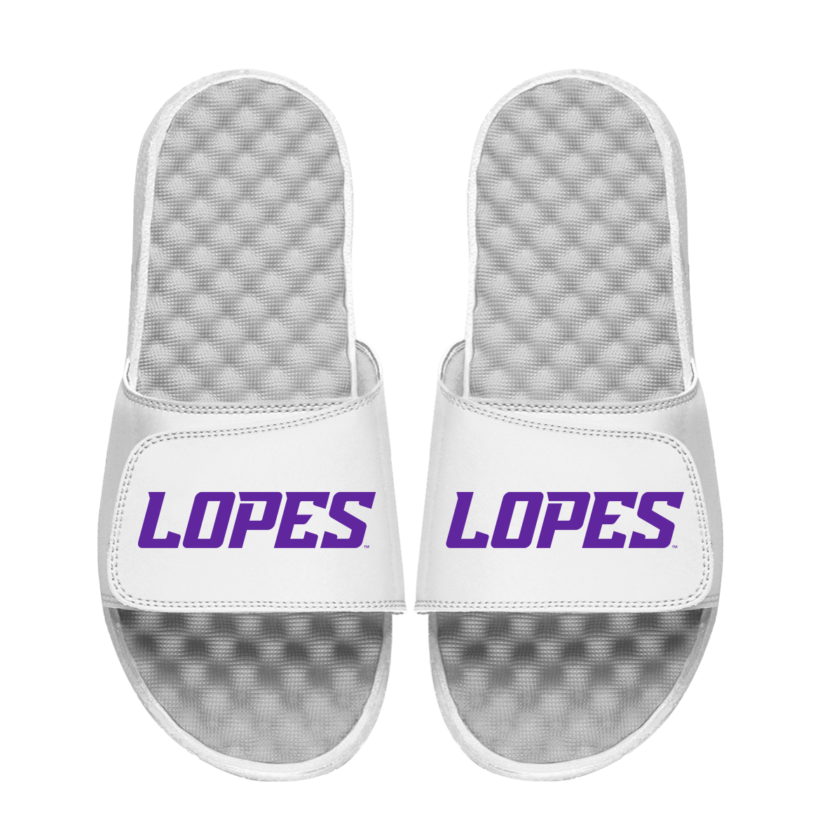 Grand Canyon University Lopes