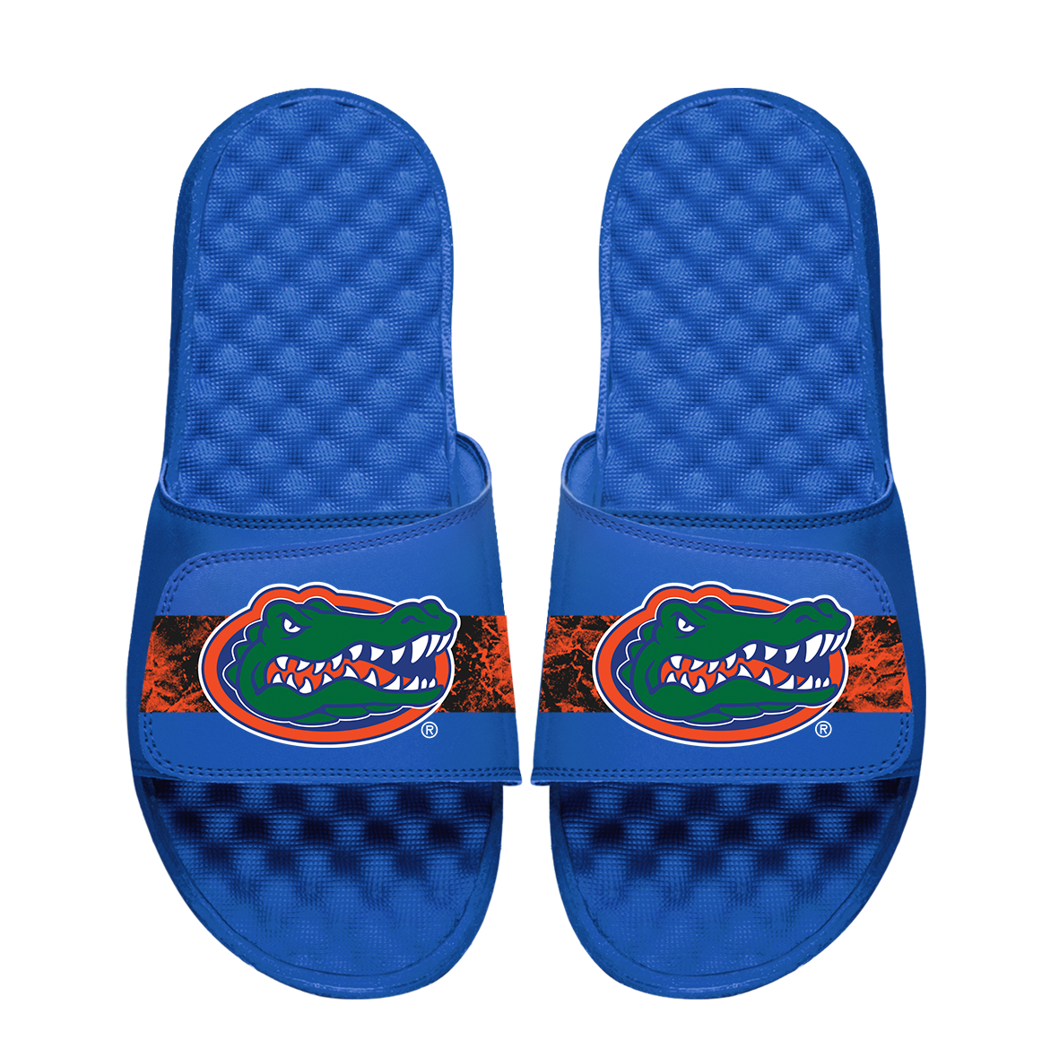 Florida Distressed