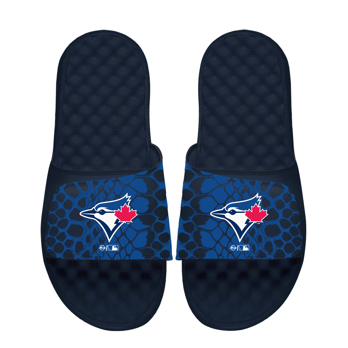 Toronto Blue Jays Year of the Snake