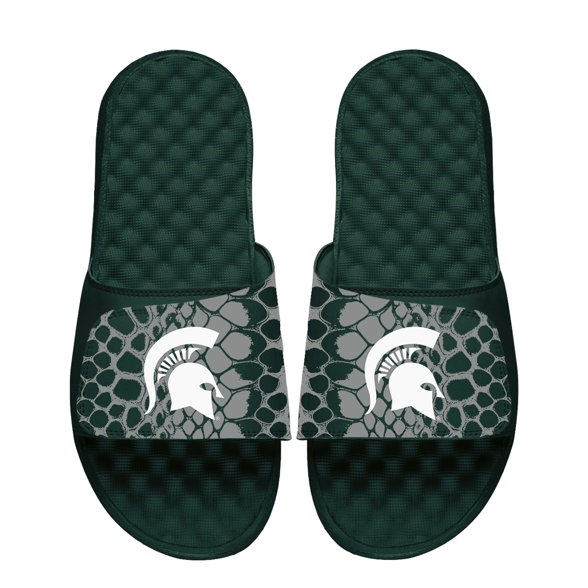 Michigan State Spartans Year of the Snake