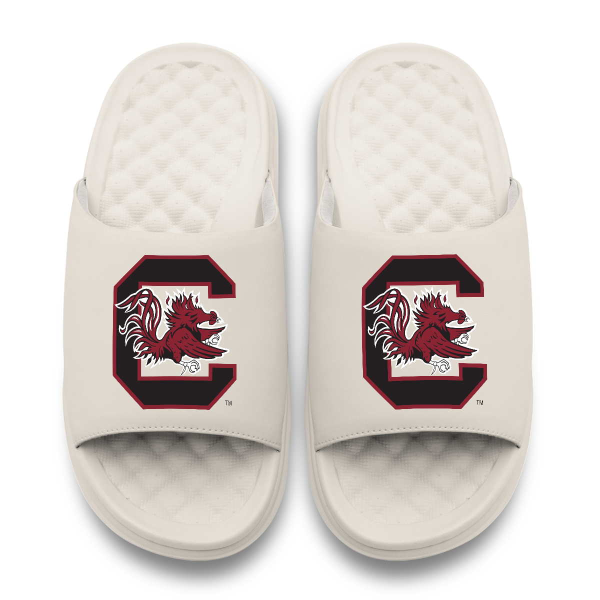South Carolina Gamecocks Primary Motive