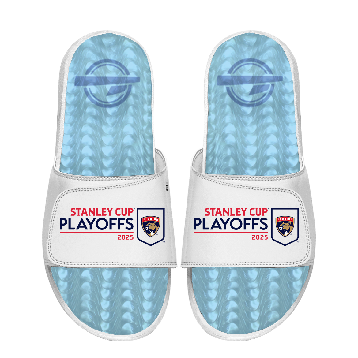 Florida Panthers 2025 Stanley Cup Playoffs