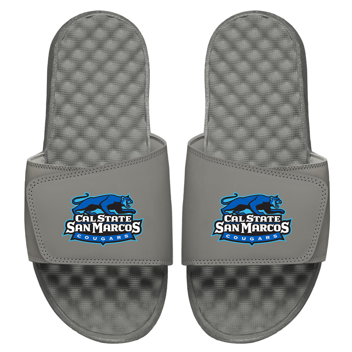 CSUSM Cougars Slides