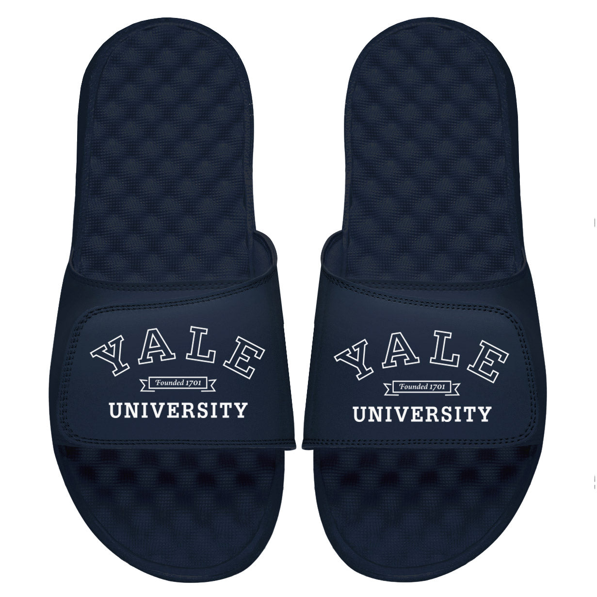 Yale Banner Slides