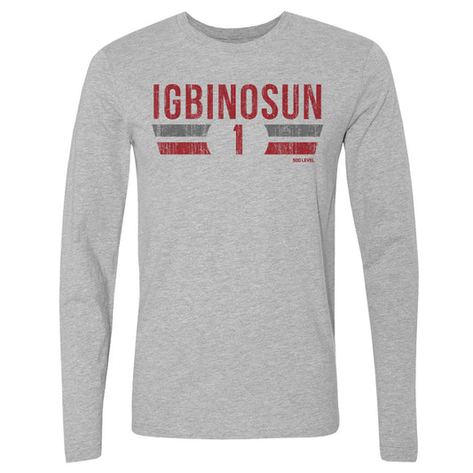 Davison Igbinosun College Font