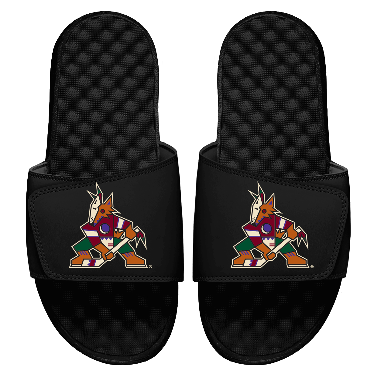 Arizona Coyotes Primary Slides