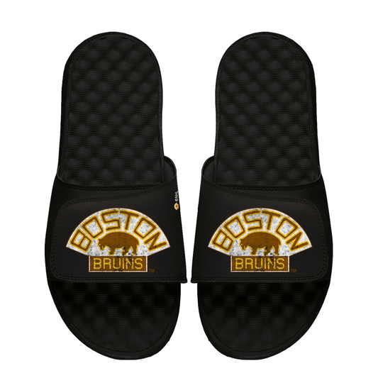 Boston Bruins Vintage Distressed Logo