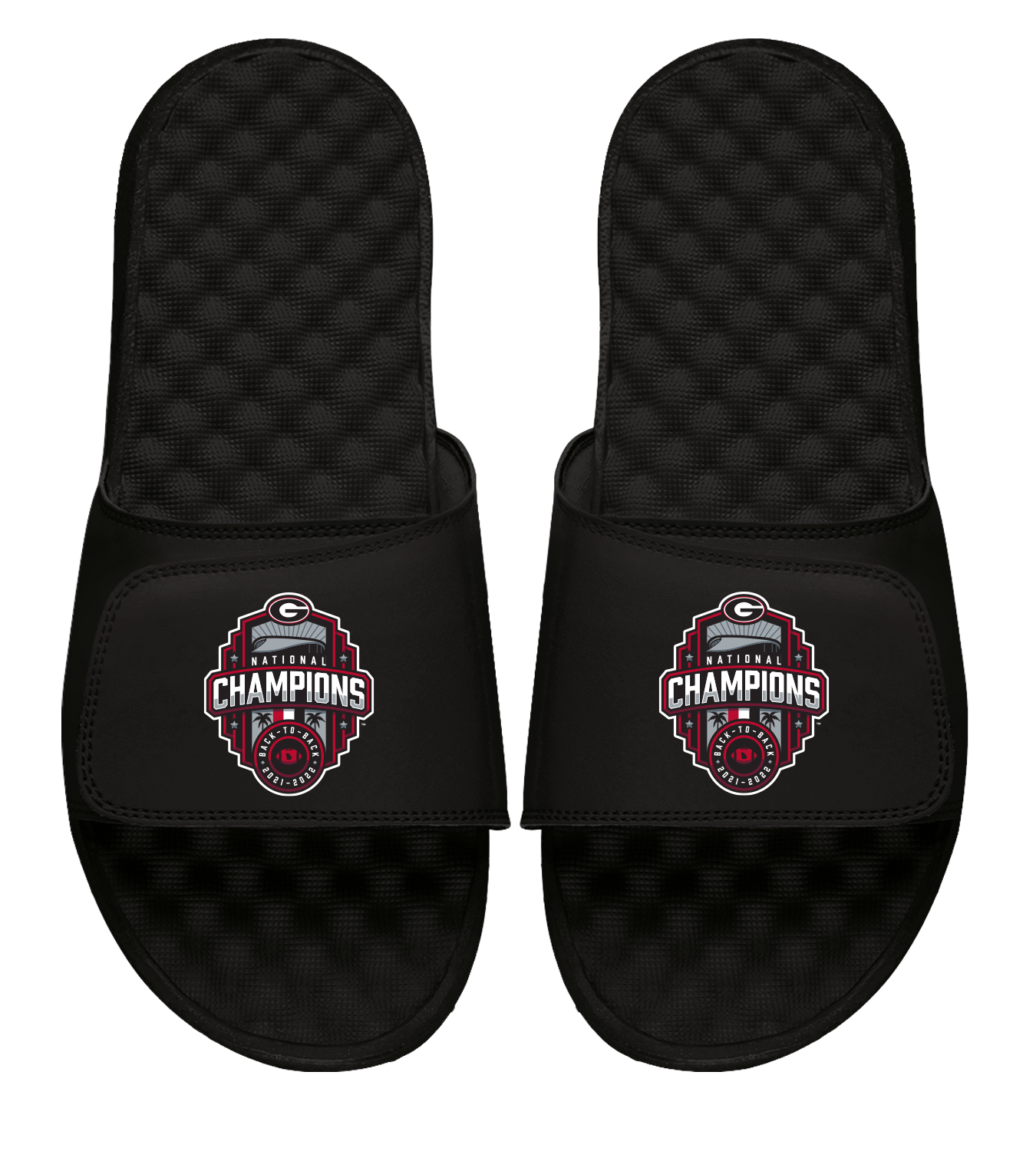 Georgia National Champions 22 Slides