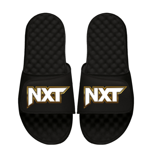 NXT Wordmark Slides
