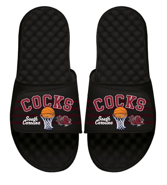 South Carolina Gamecocks Basketball Collage 2025