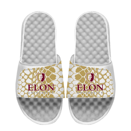 Elon Phoenix Year of the Snake
