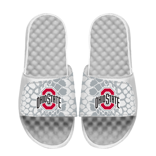 Ohio State Buckeyes Year of the Snake