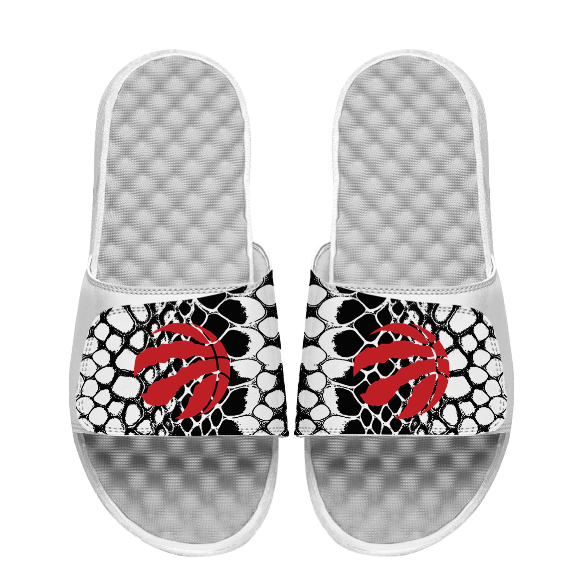 Toronto Raptors Year of the Snake