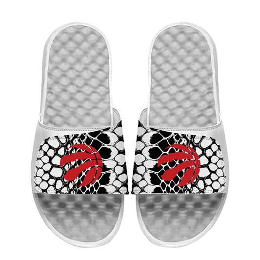 Toronto Raptors Year of the Snake