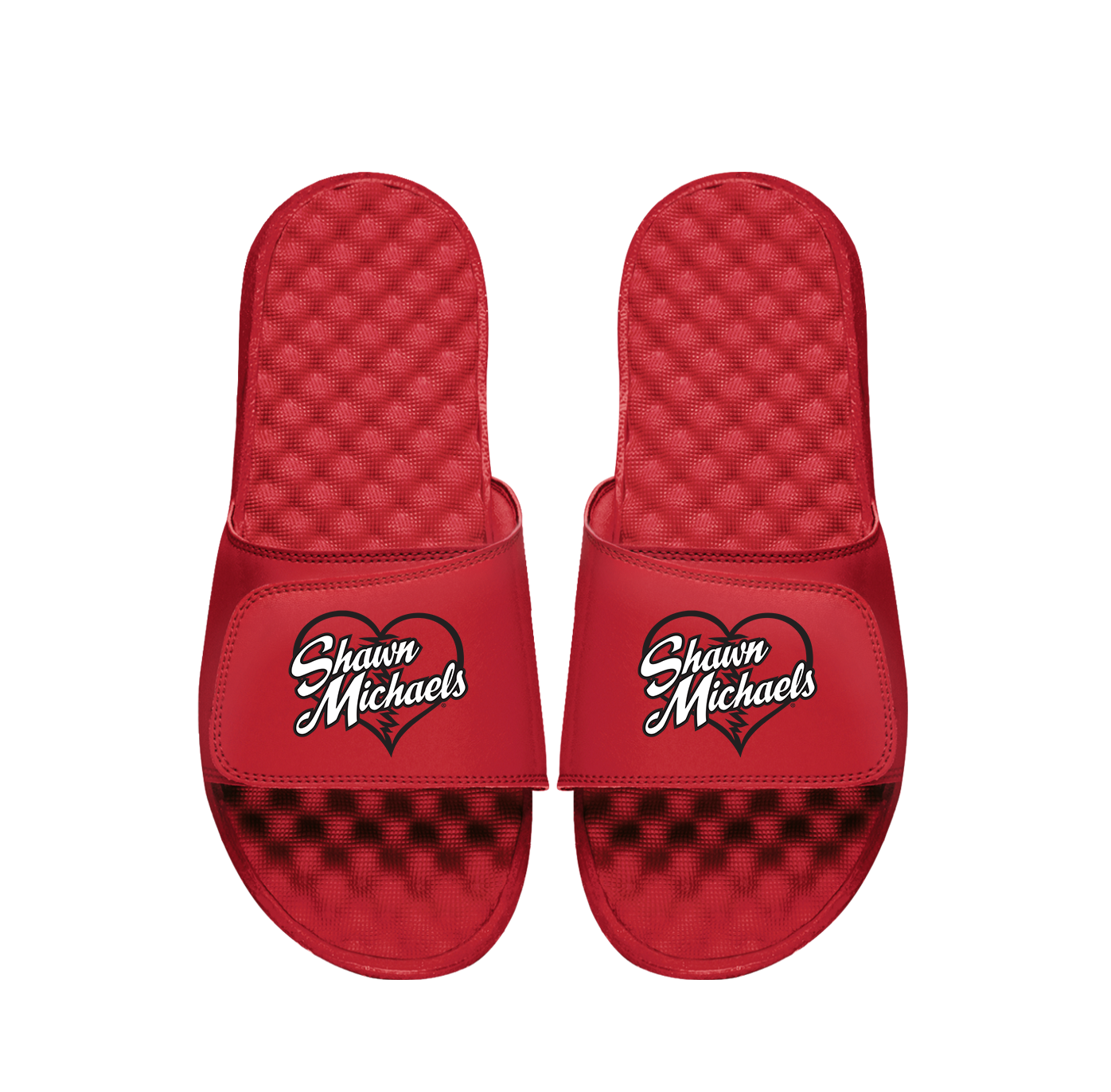 Shawn Michaels Heartbreak Slides