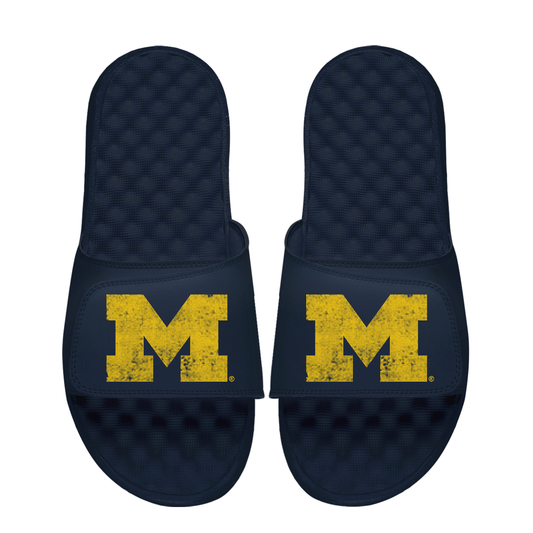 Michigan Wolverines Pixeled Distressed