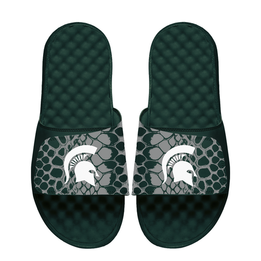 Michigan State Spartans Year of the Snake