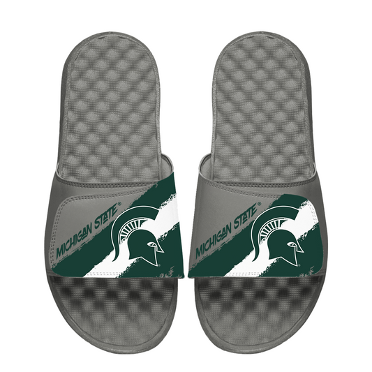 Michigan State Spartans Paint Stripes