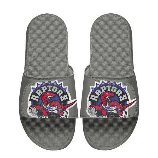 Toronto Raptors Hardwood Classics Distressed Logo
