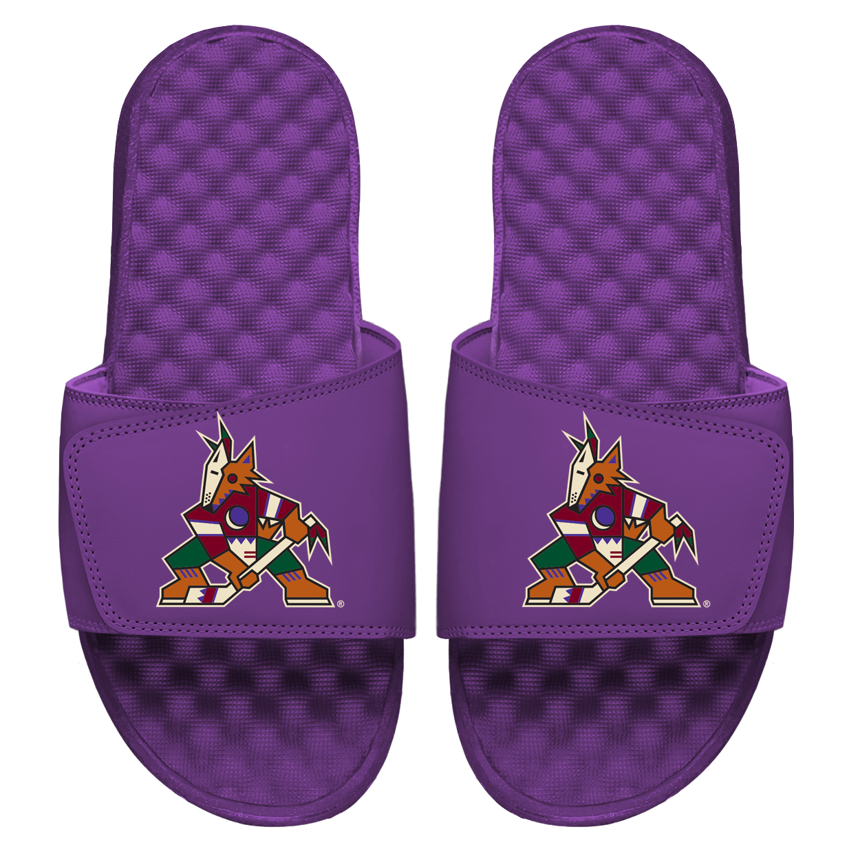 Arizona Coyotes Primary Slides