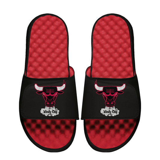 Chicago Bulls Hardwood Classics Distressed Logo