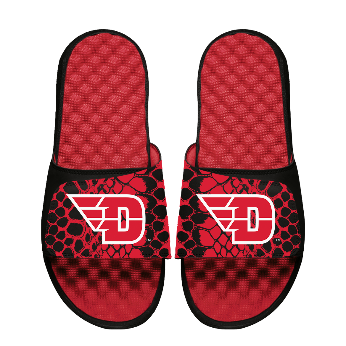 Dayton Flyers Year of the Snake
