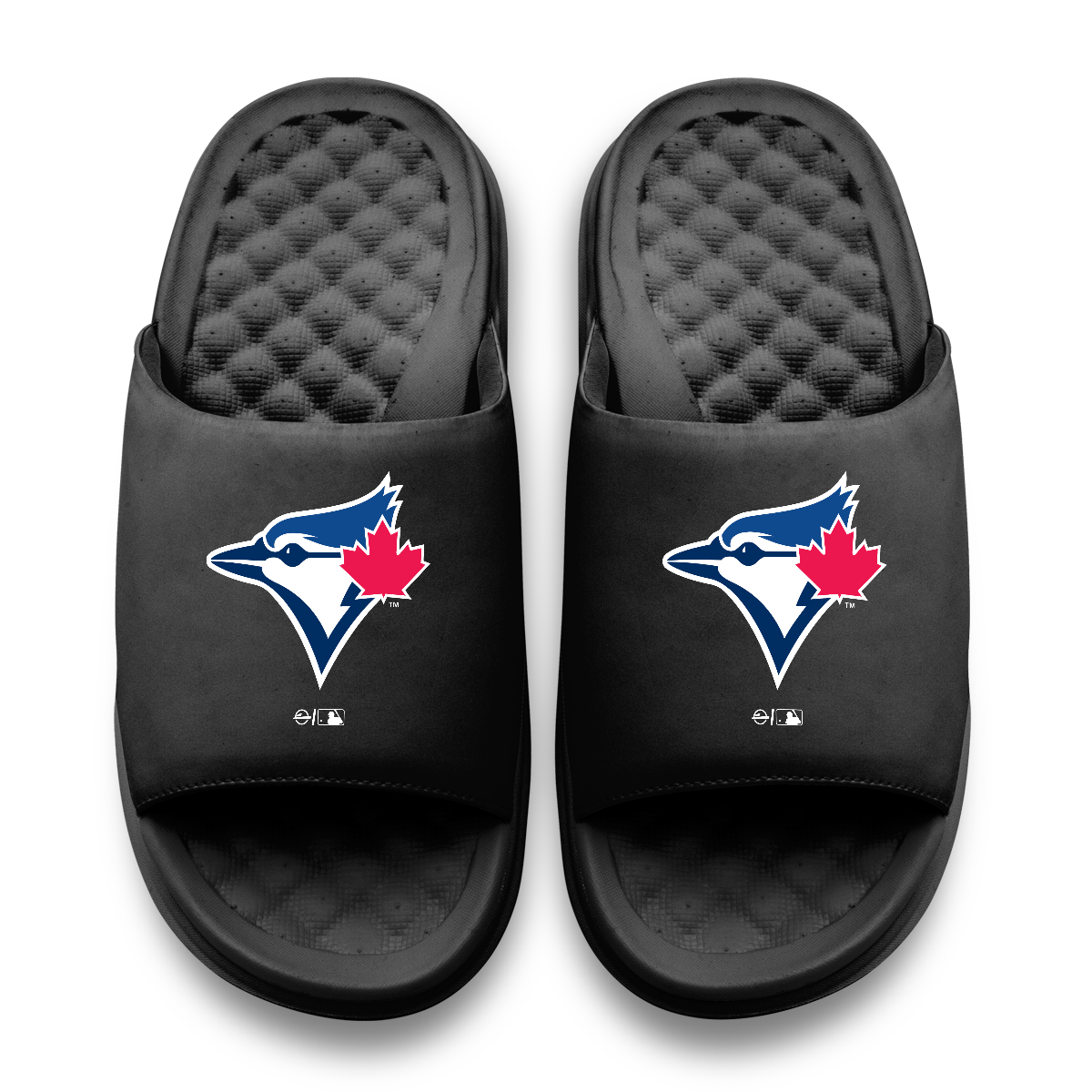 Toronto Blue Jays Primary Motive