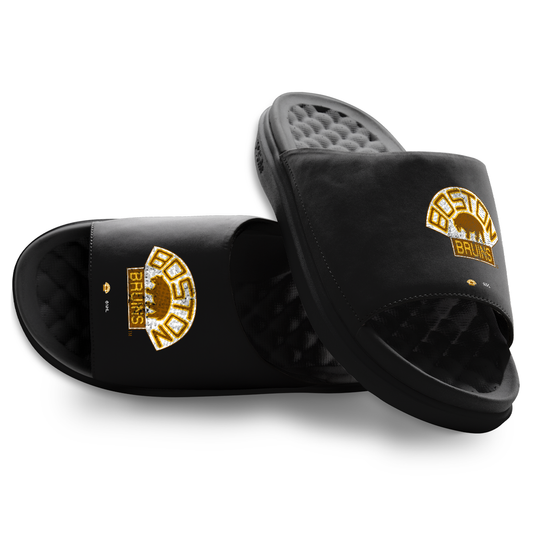 Boston Bruins Vintage Distressed Logo Motive