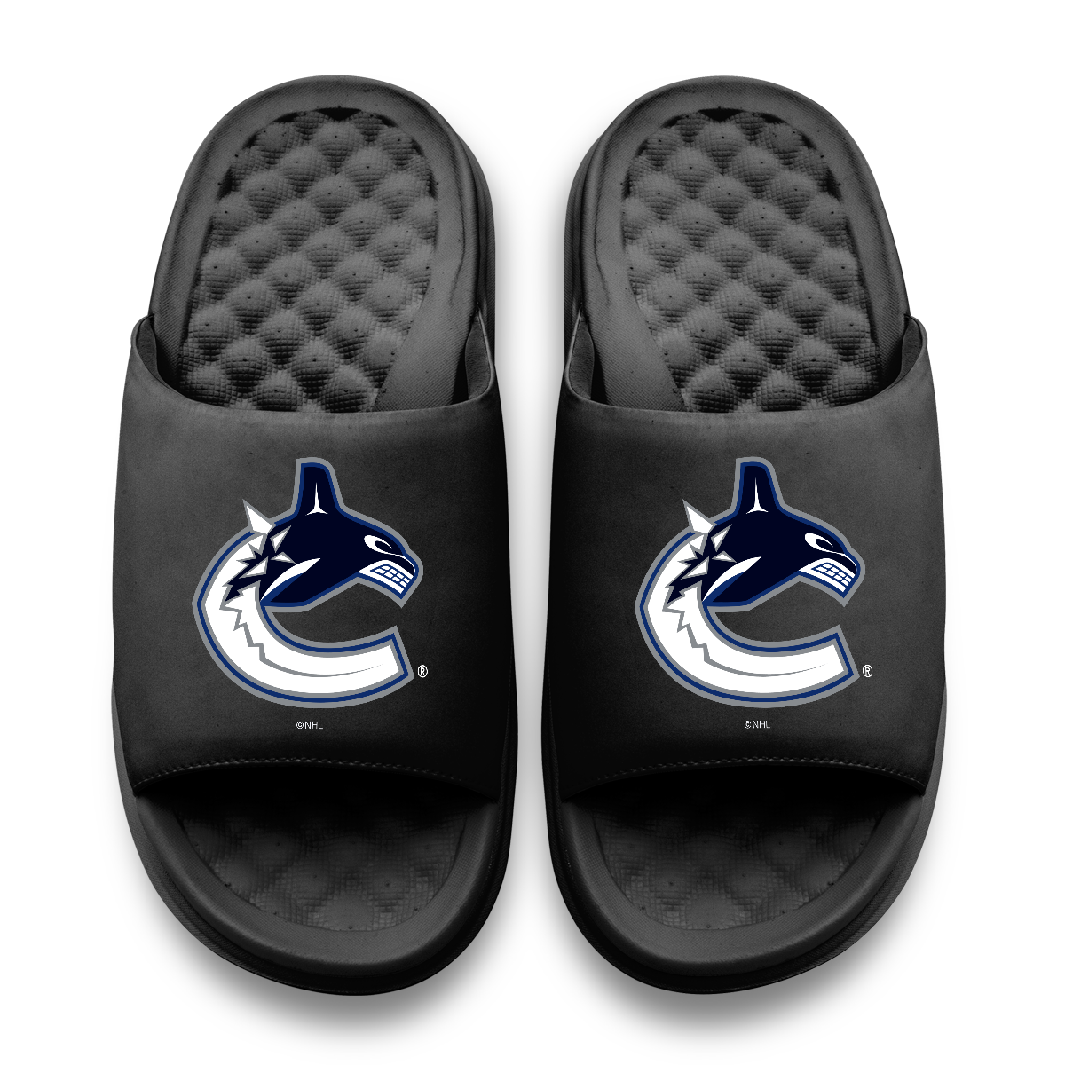 Vancouver Canucks Primary Motive
