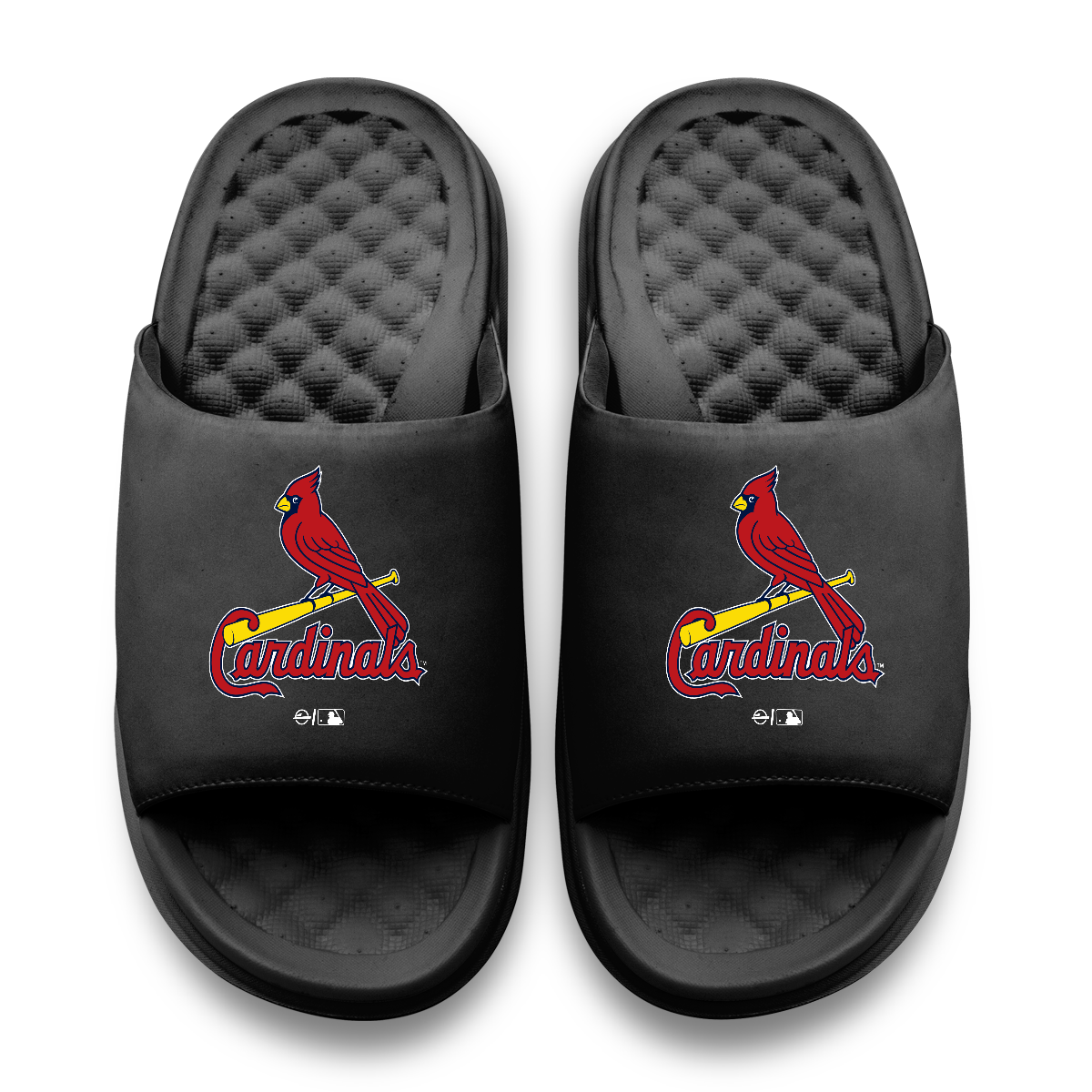 St Louis Cardinals Primary Motive