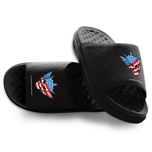 Cody Rhodes American Skull Motive
