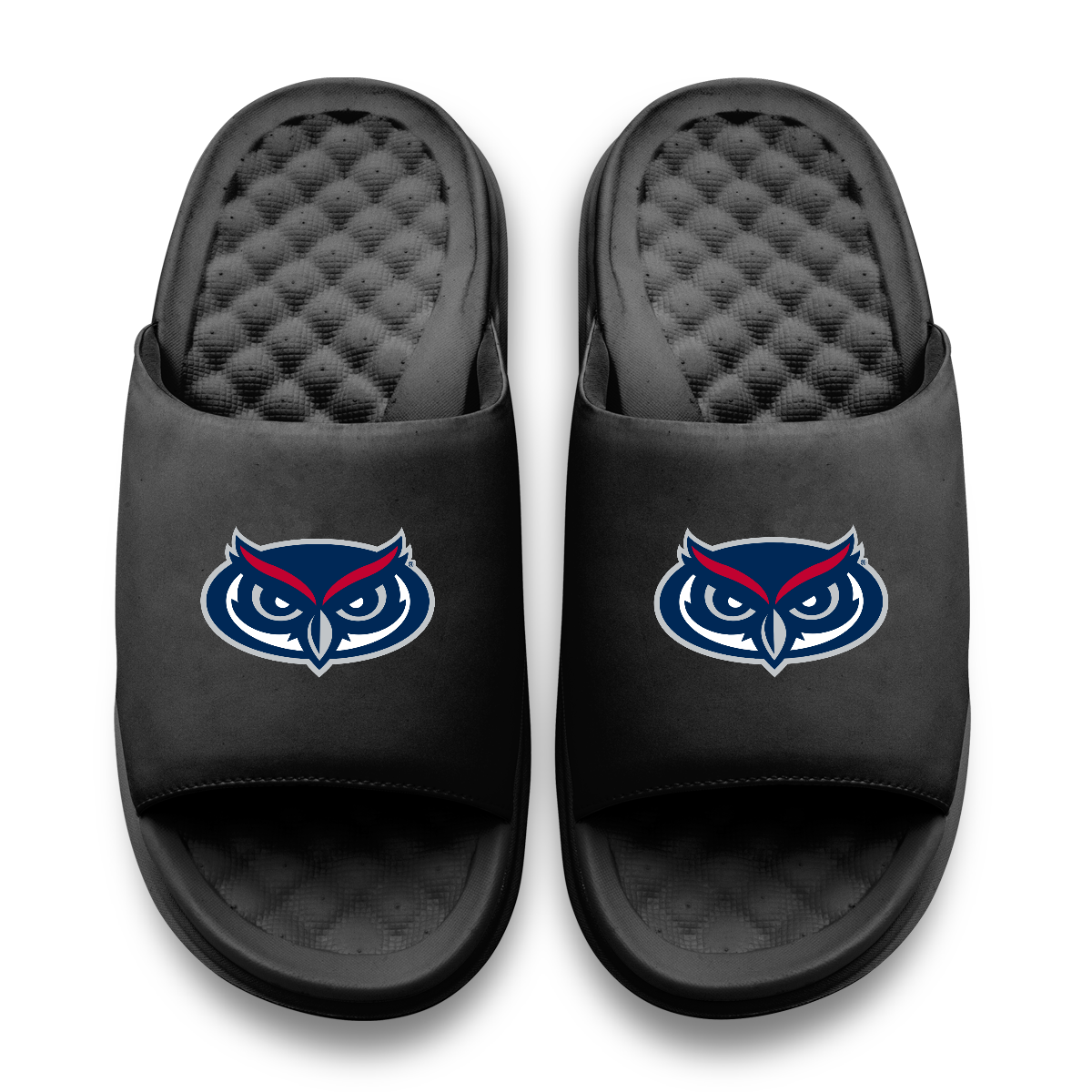 Florida Atlantic Owls Primary Motive