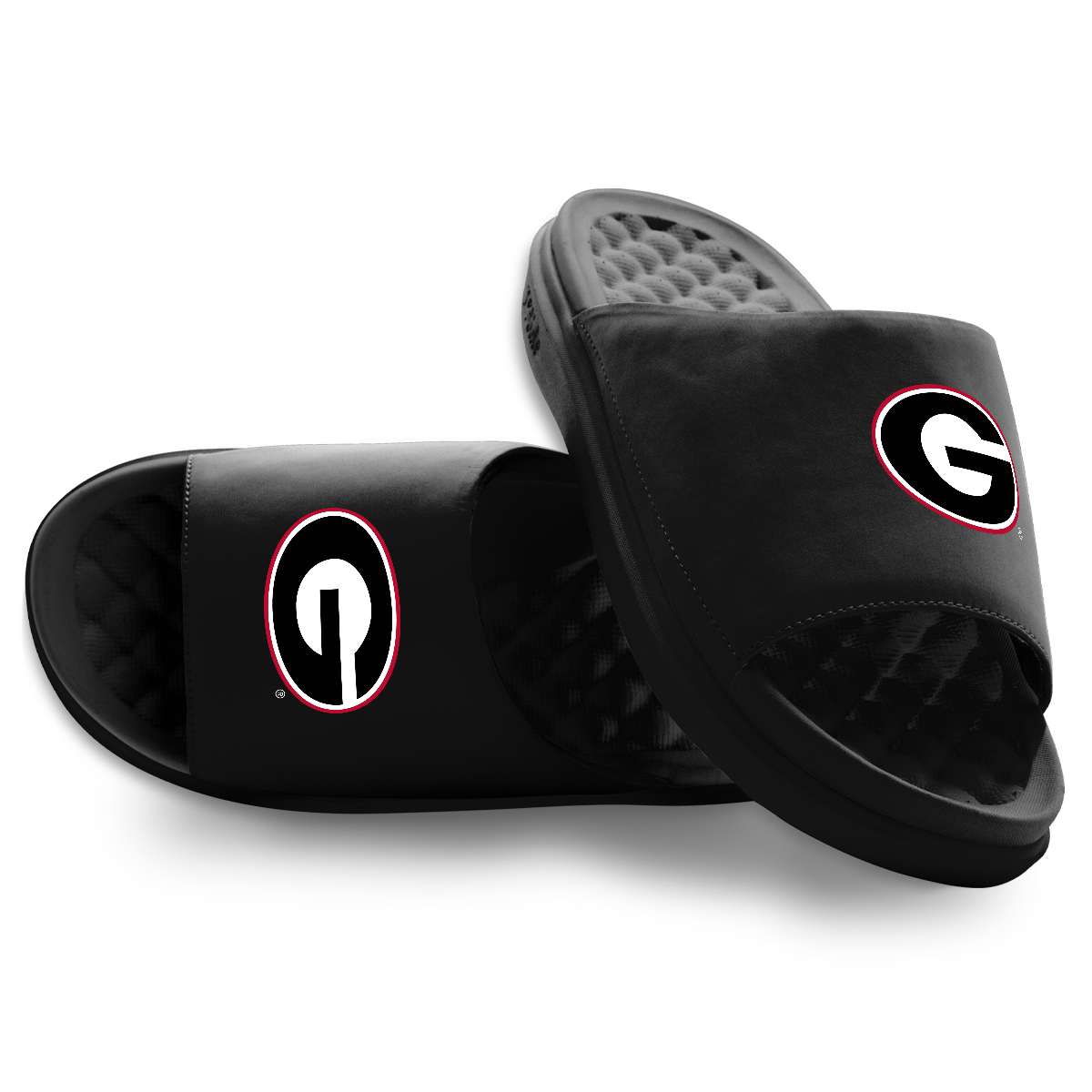 Georgia Bulldogs Primary Motive