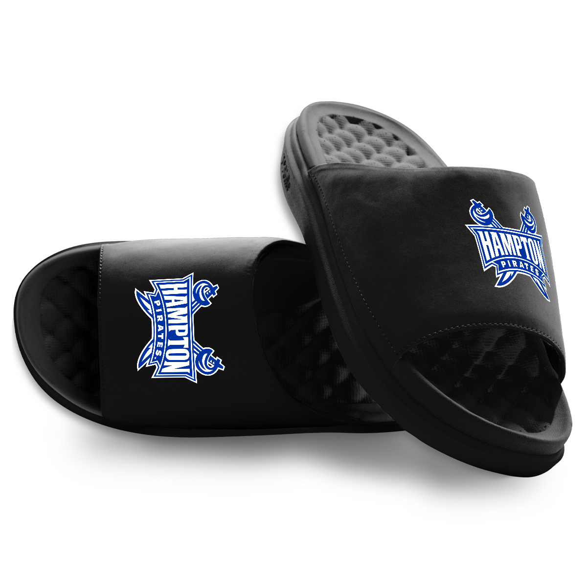 Hampton Pirates Primary Motive