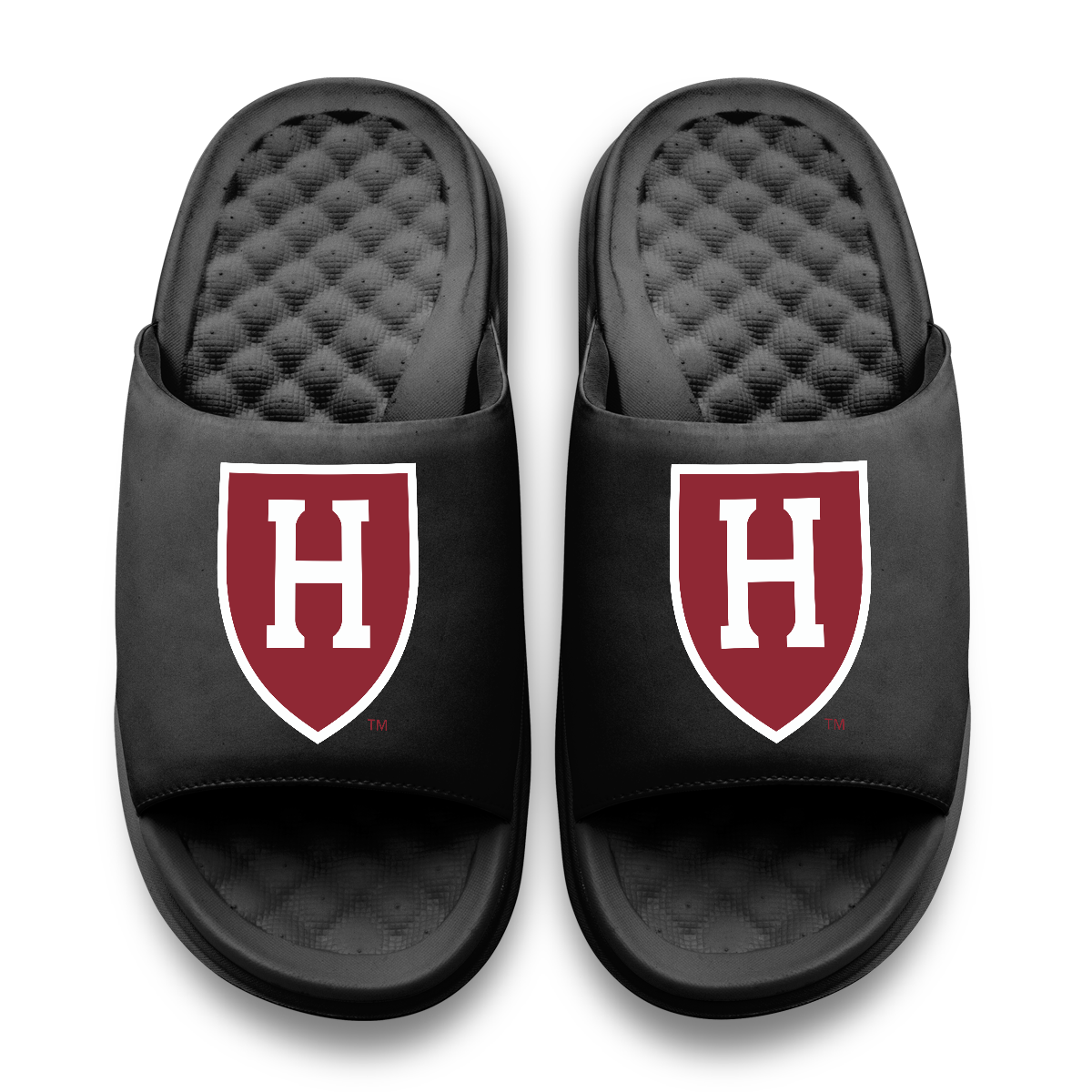 Harvard Crimson Primary Motive