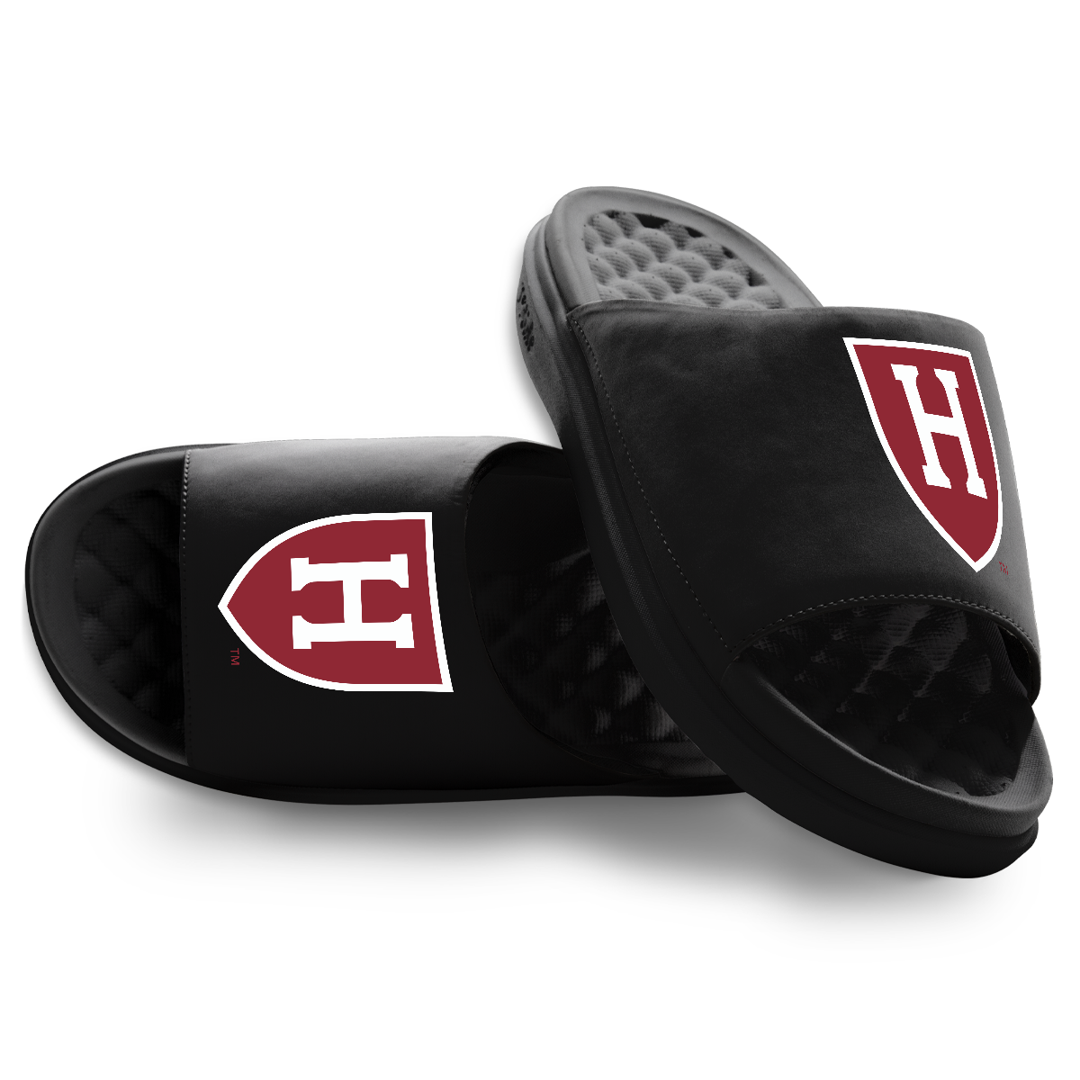 Harvard Crimson Primary Motive