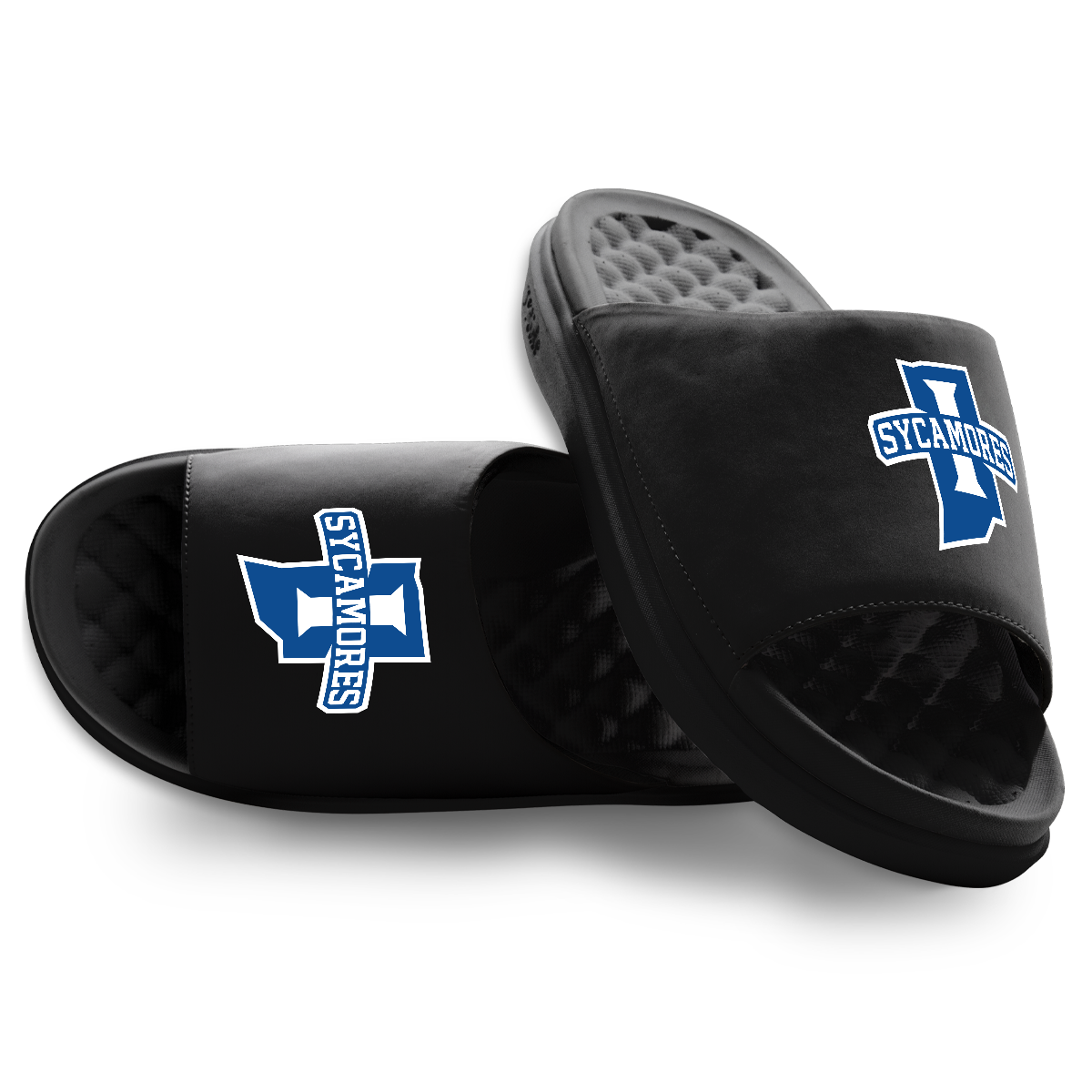 Indiana State Sycamores Primary Motive