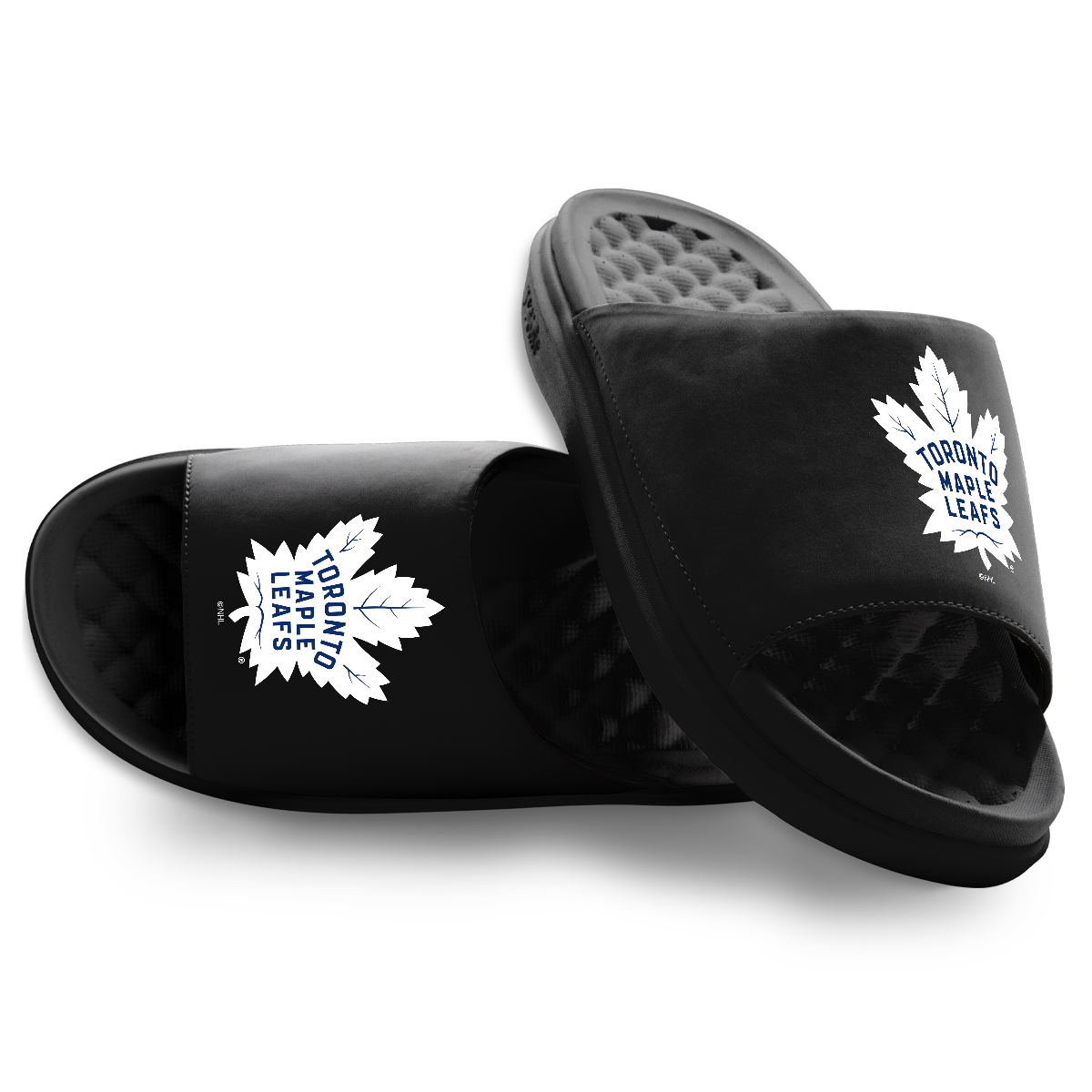 Toronto Maple Leafs Primary Motive