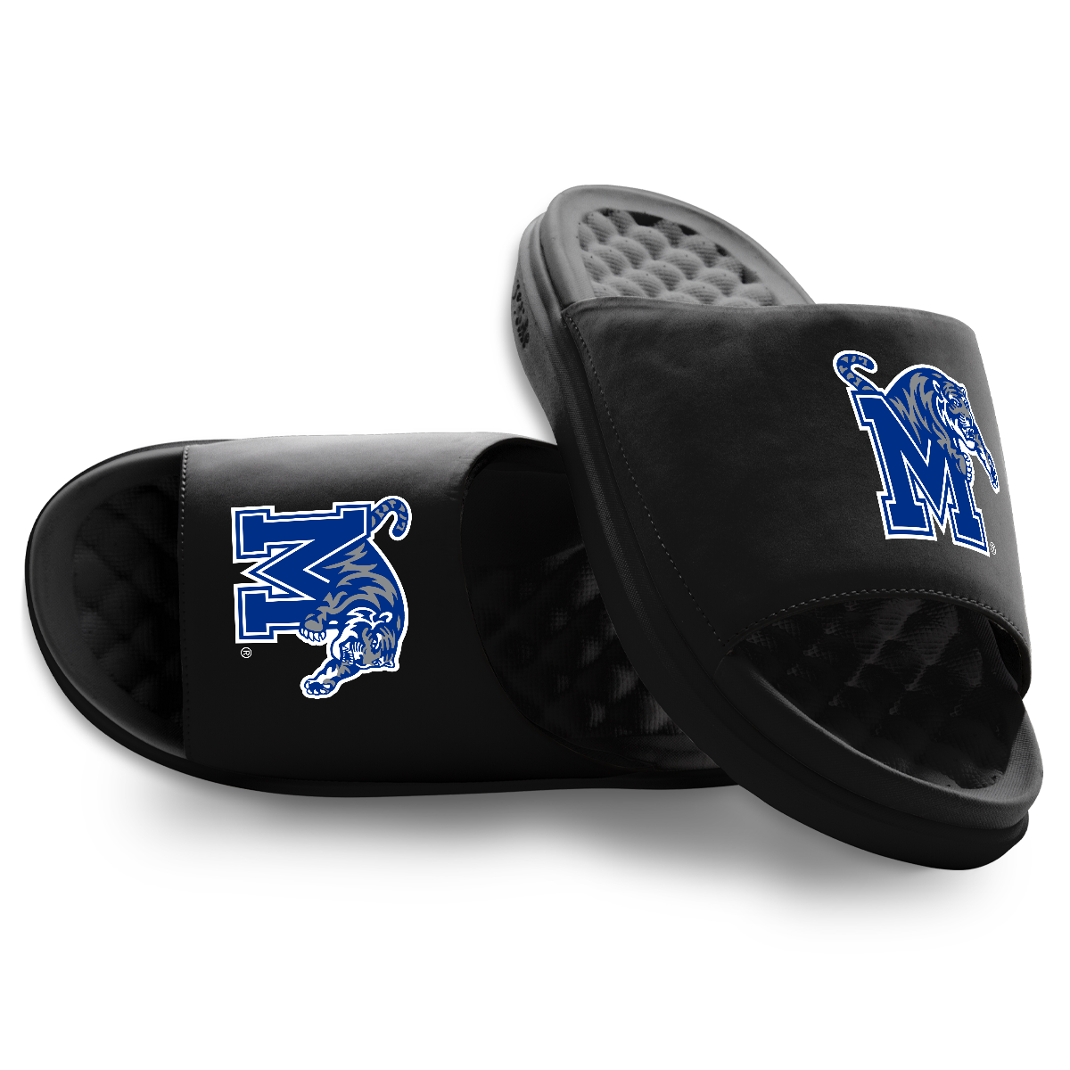 Memphis Tigers Primary Motive