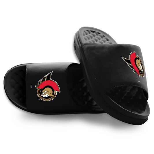 Ottawa Senators Primary Motive