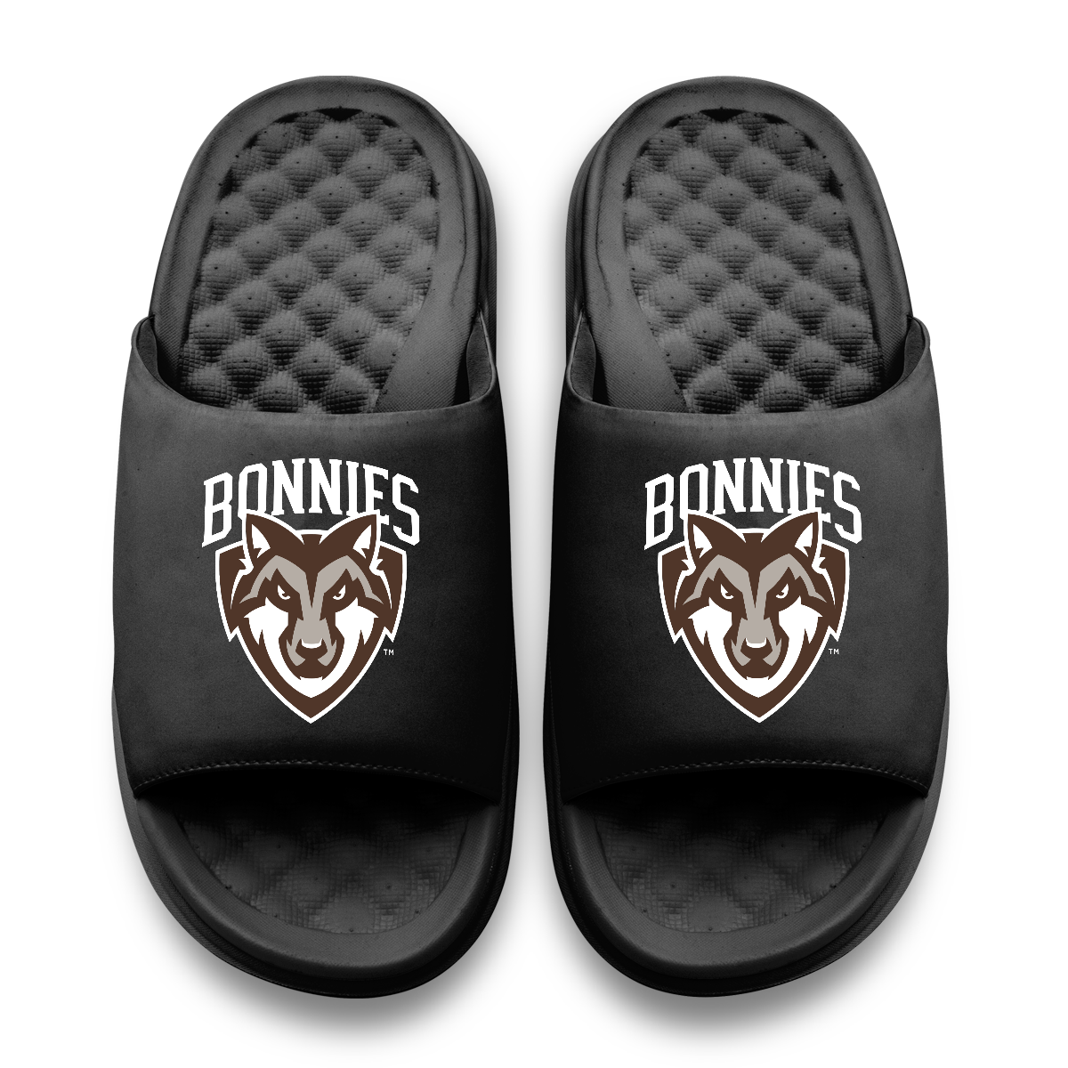 St Bonaventure Bonnies Primary Motive