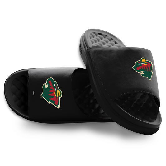 Minnesota Wild Primary Motive