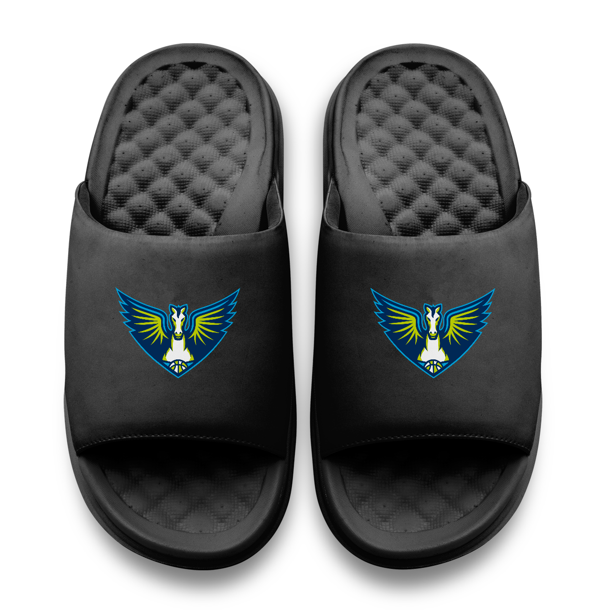Dallas Wings Primary Motive