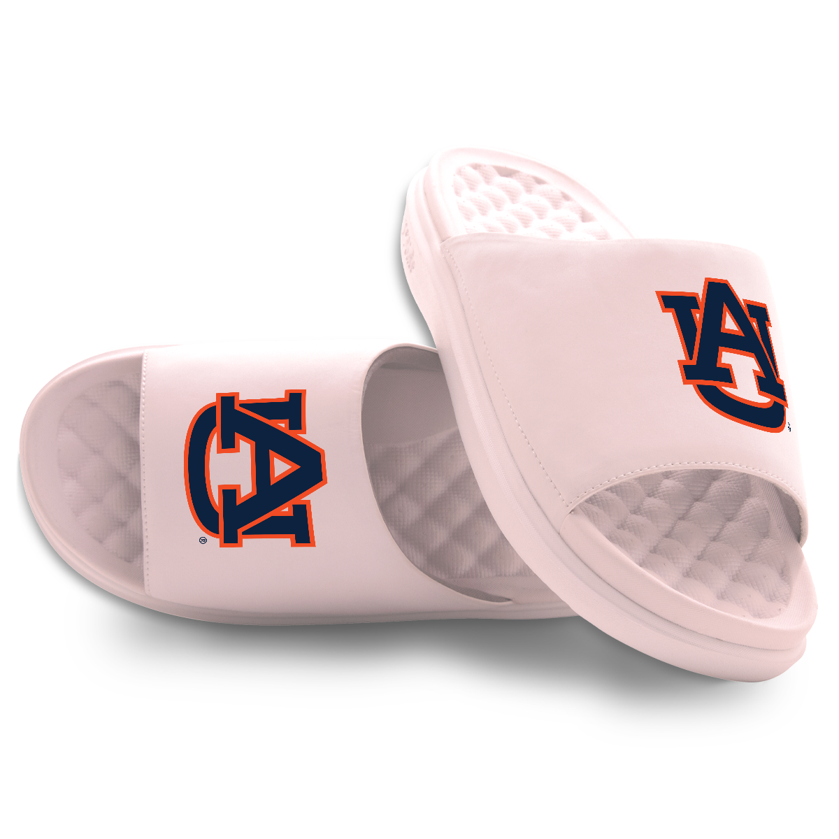 Auburn Tigers Primary Motive