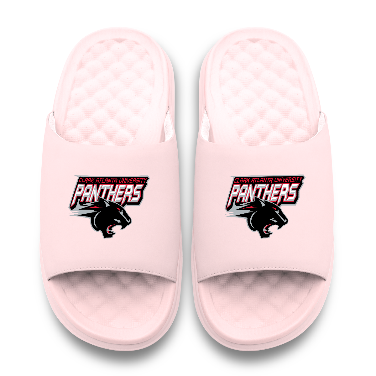 Clark Atlantic University Panthers Primary Motive
