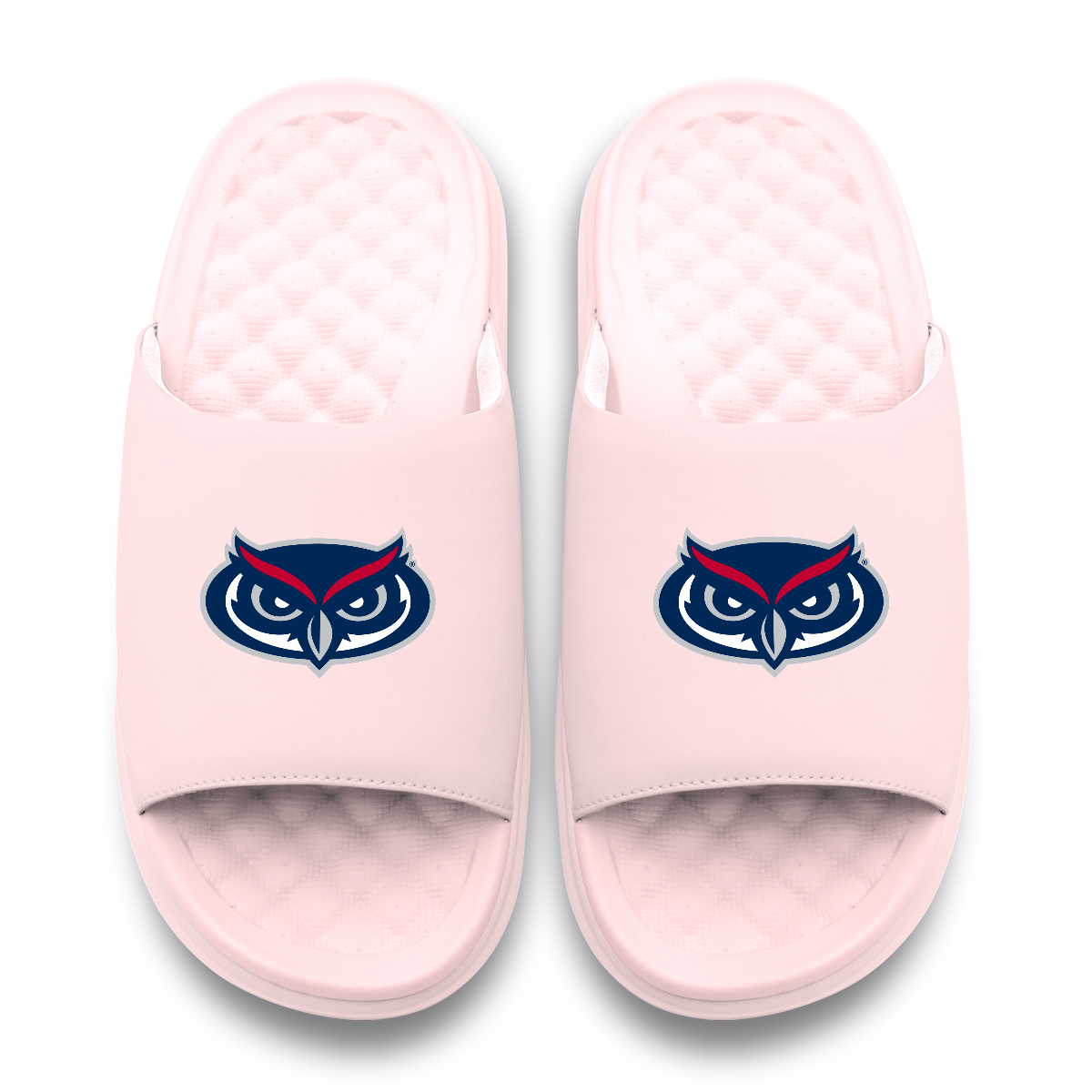 Florida Atlantic Owls Primary Motive