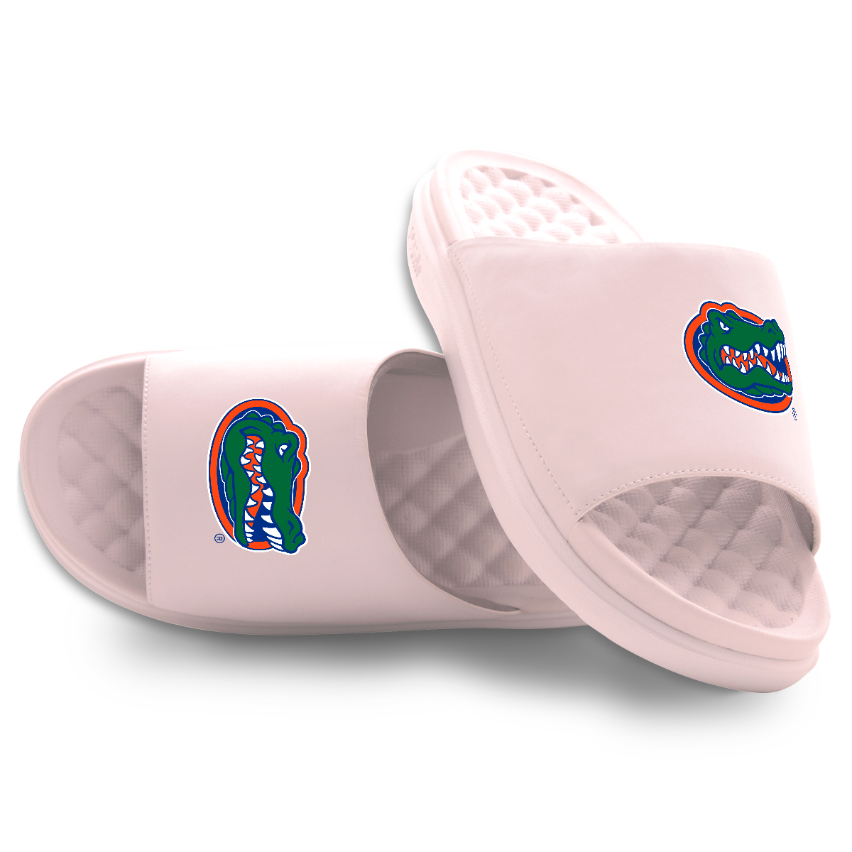 Florida Gators Primary Motive
