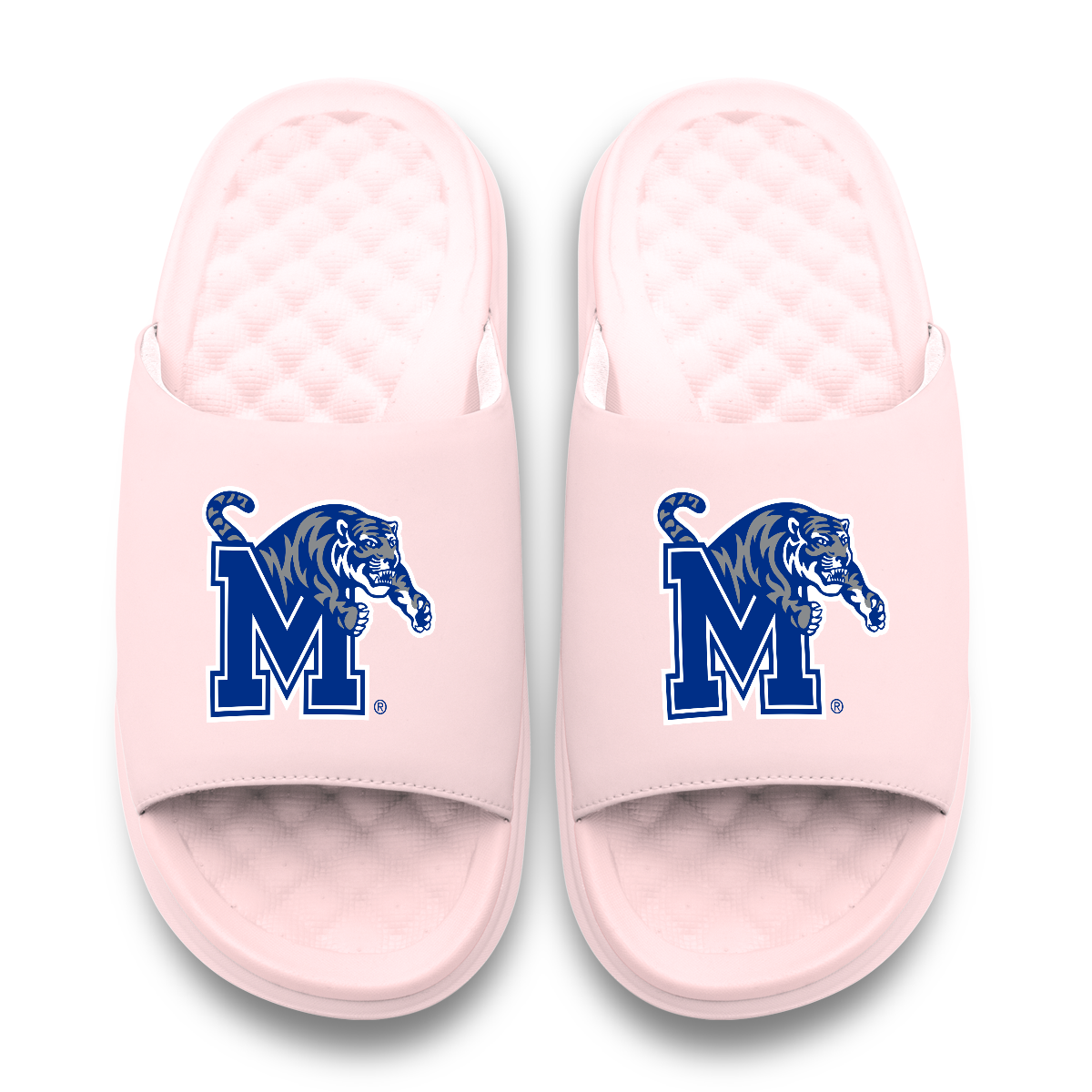 Memphis Tigers Primary Motive