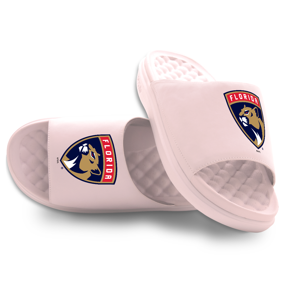 Florida Panthers Primary Motive