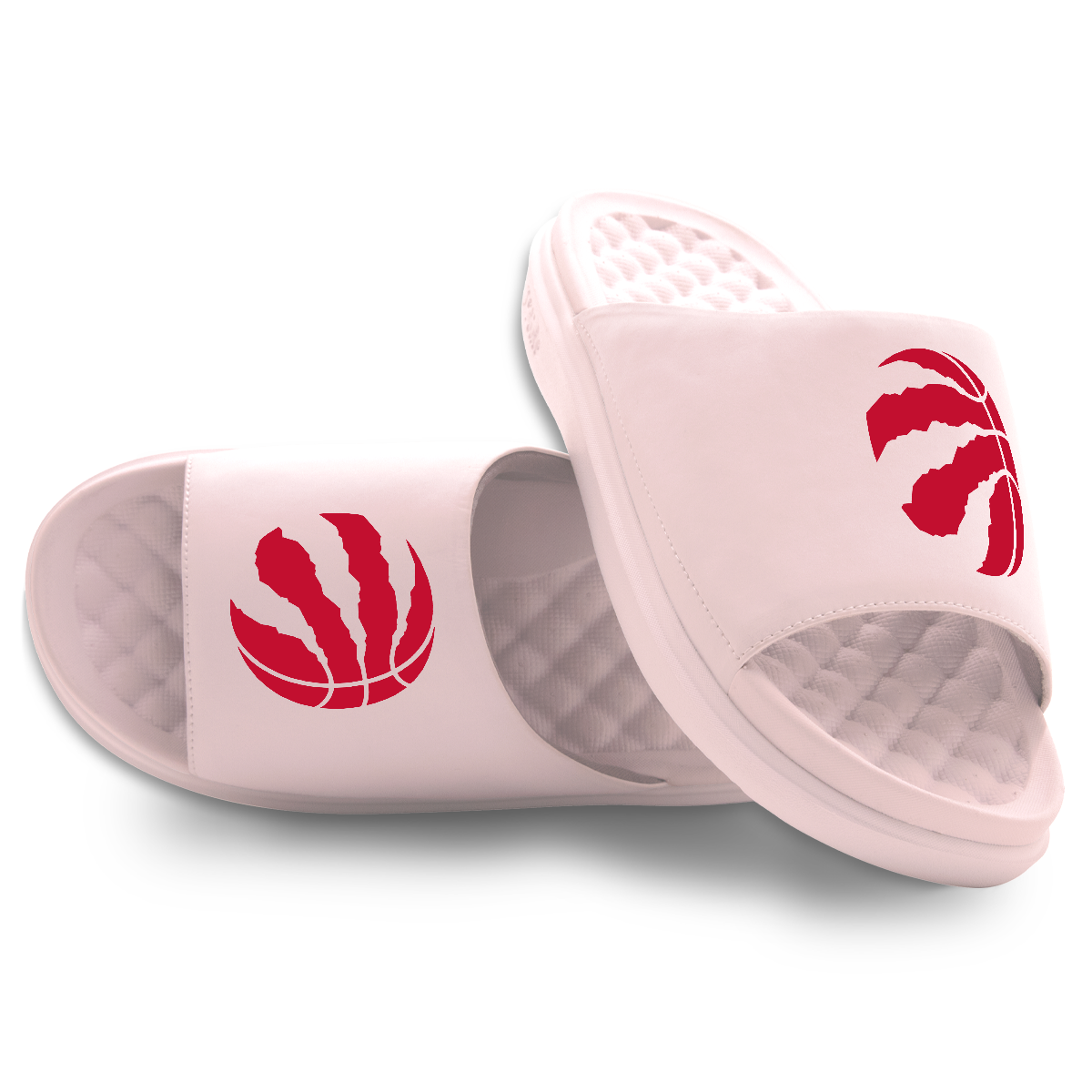 Toronto Raptors Primary Motive